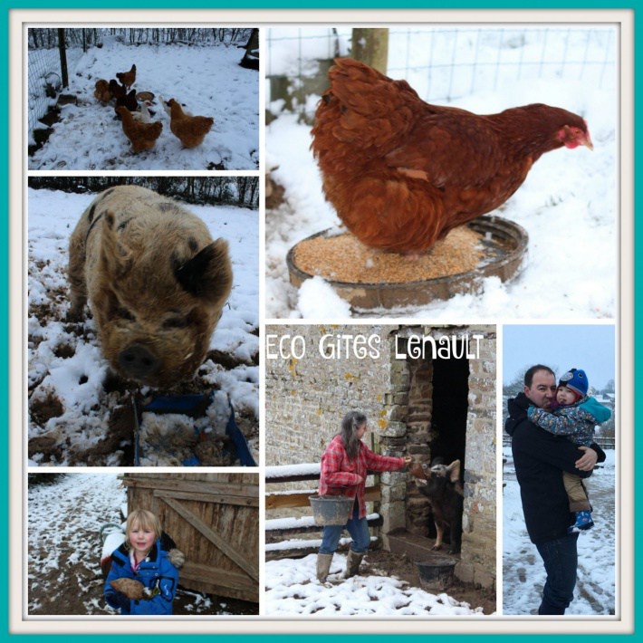 A winter visit to Eco-Gites of Lenault, Normandy