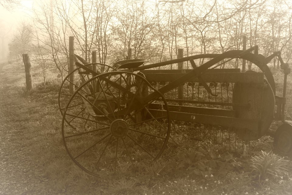 My Sunday Photo April 17th 2016 Vintage Hay Turner (Tedder) Eco