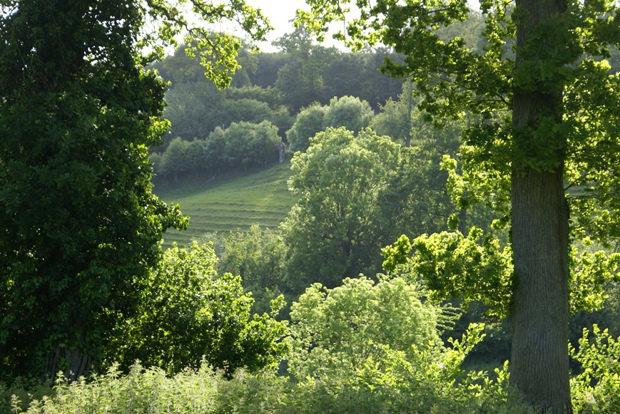 The valley below Eco-Gites of Lenault, Normandy, France