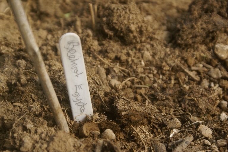 Seed sowing at Eco-Gites of Lenault