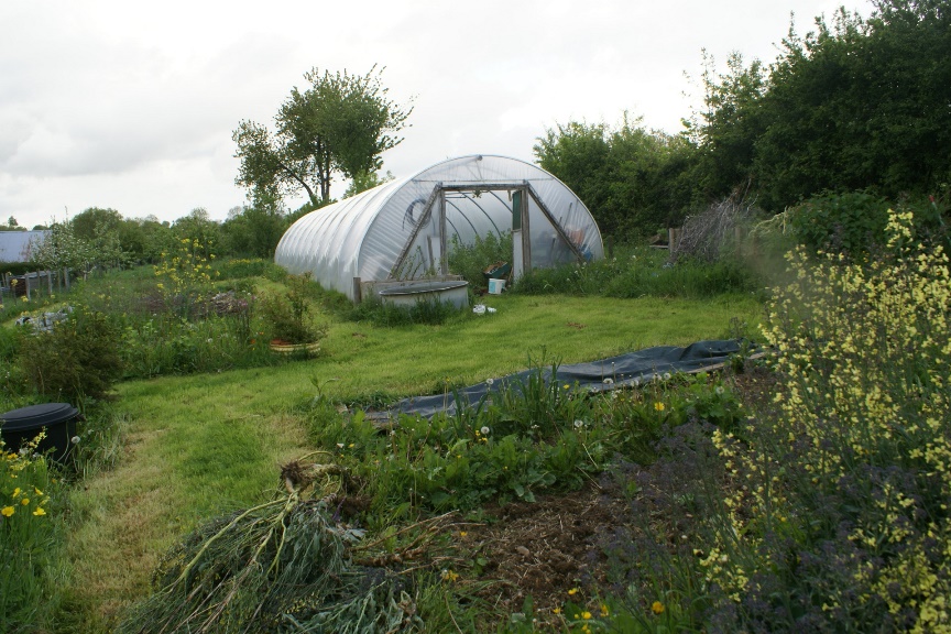 A before picture of the polytunnel at Eco-Gites of Lenault, Normandy France