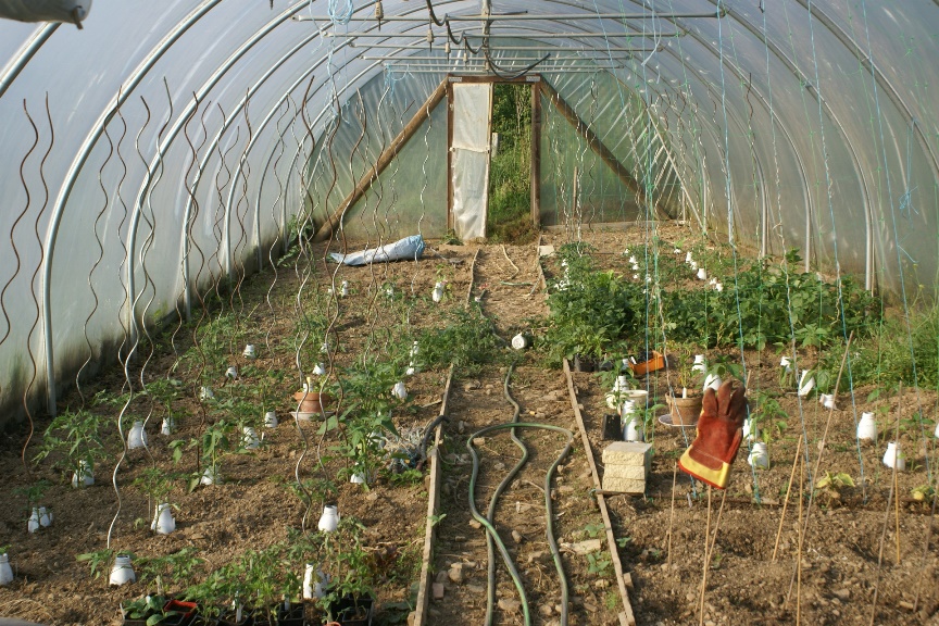 The polytunnel at Eco-Gites of Lenault, a sef catering cottage in Normandy, France