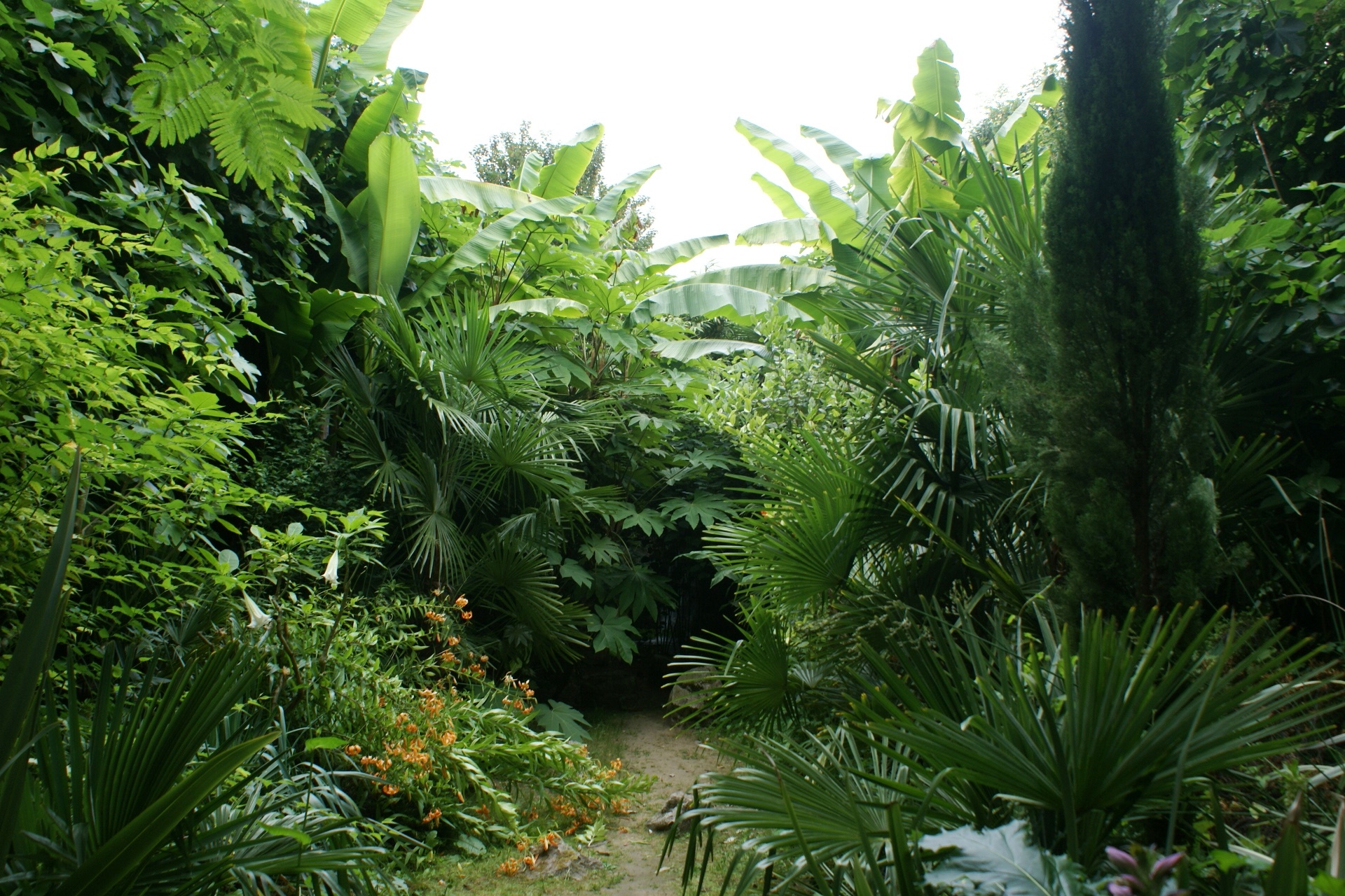 Exotic garden at the Château de Vendeuvre in the Calvados region of Normandy