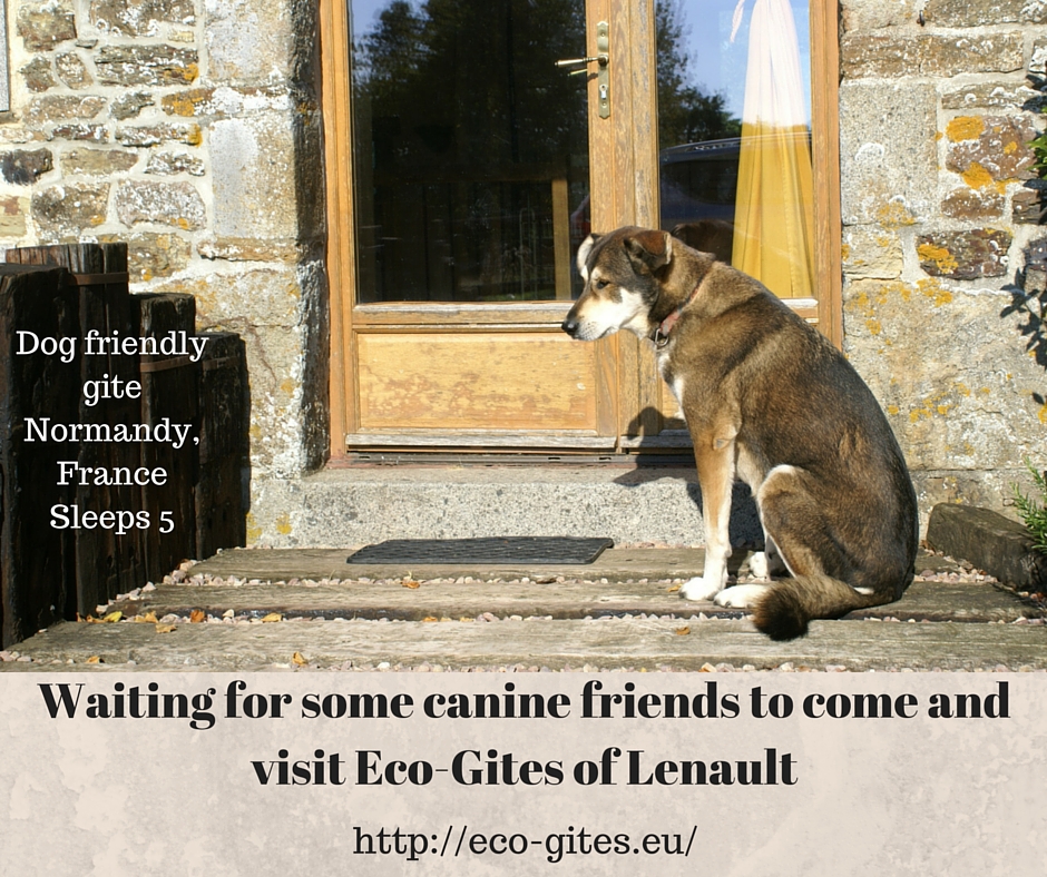 Eco-Gites of Lenault - a dog friendly gite in Normandy