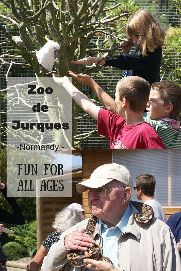 Jurques zoo - fun for all ages